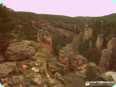 Hoces y cañones del Río Piedra y del Río Gallo -- Laguna Gallocanta - Rutas Senderismo;senderismo